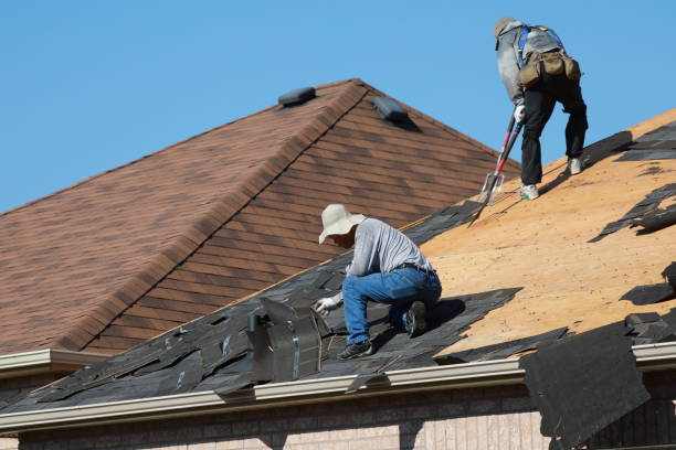 Best Gutter Installation and Repair  in Lyons, GA